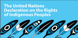 UNDRIP Source: erif.ca